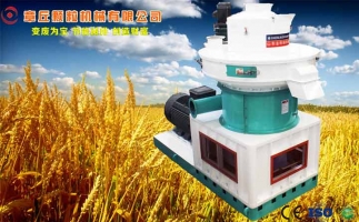 中國(guó)創(chuàng)新提速，綠色經(jīng)濟(jì)之離心高效環(huán)模顆粒機(jī)