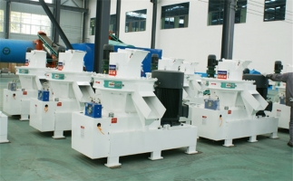 生物質(zhì)資源、生物質(zhì)發(fā)電現(xiàn)狀及前景