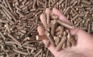 鋸末顆粒機生物質(zhì)燃料與燃煤對比情況如何？