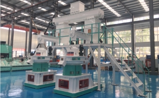 木屑顆粒機(jī)多少錢(qián)一臺(tái)?建顆粒廠大約多少錢(qián)？
