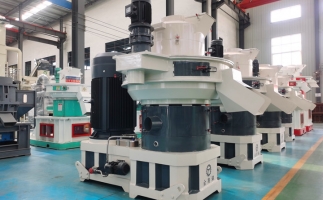 鋸末顆粒機生物質(zhì)顆粒，將會改變普通人民的生活！