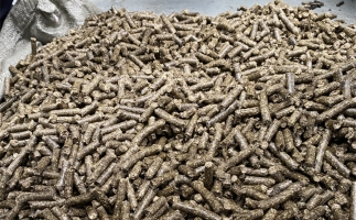 鋸末顆粒機的顆粒燃料比煤炭貴，為什么還有那么多人用？