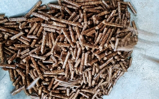 鋸末顆粒機的生物質(zhì)顆粒除了代替原煤，還能用在這！