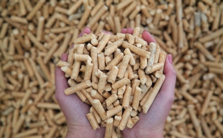 夏季儲存鋸末顆粒機生物質(zhì)顆粒的方法，要認真看喲