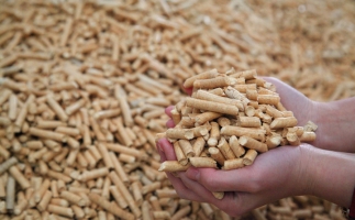 鋸末顆粒機(jī)生物質(zhì)顆粒，你需要知道的常識(shí)問(wèn)題