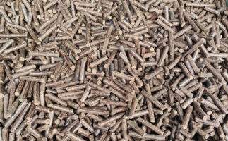 鋸末顆粒機(jī)加工的顆粒燃料價(jià)格主要受哪幾個(gè)方面的影響？