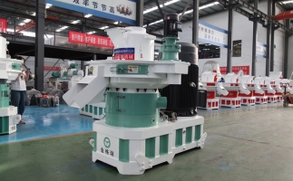 創(chuàng)業(yè)為什么選擇木屑顆粒機(jī)設(shè)備，這幾種理由就夠了