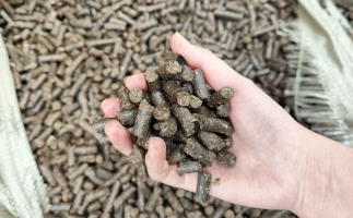 木屑顆粒機將秸稈變廢為寶，降碳節(jié)能一舉兩得