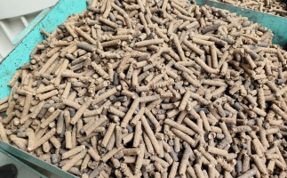 木屑顆粒機(jī)加工的顆粒燃料的環(huán)保優(yōu)勢(shì)分析