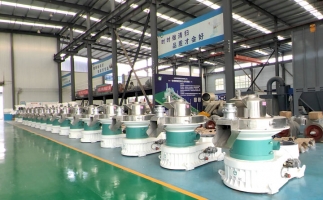 新手開顆粒廠，該選小型還是大型木屑顆粒機(jī)？